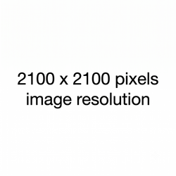 Output image quality must be exactly 2100 x 2100 pixels.