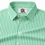 Men's Green & White Vertical Striped Regular Fit Formal Shirt | Full & Half Sleeve