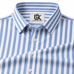 Men's Sky Blue & White Vertical Striped Regular Fit Formal Shirt | Full & Half Sleeve