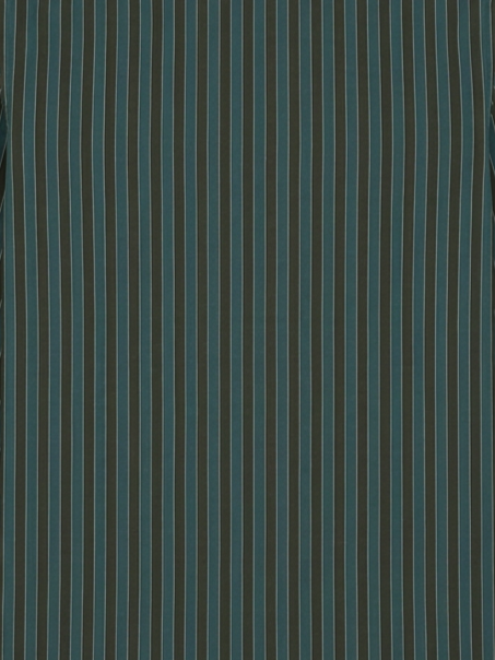 Men's Teal Green & Olive Vertical Striped Regular Fit Formal Shirt | Full & Half Sleeve