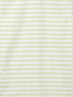 Men's Pastel Green Stripe Formal Shirt Regular Fit | Full & Half Sleeve