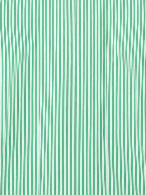 Men's Mint Green & White Vertical Striped Regular Fit Formal Shirt | Full & Half Sleeve