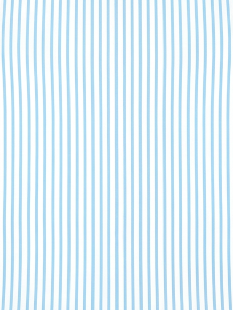 Men's Light Sky Blue & White Vertical Striped Regular Fit Formal Shirt | Full & Half Sleeve