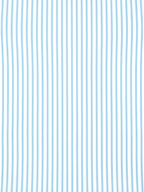Men's Light Sky Blue & White Vertical Striped Regular Fit Formal Shirt | Full & Half Sleeve