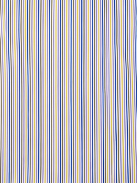Men's Multicolor Fine Striped Regular Fit Formal Shirt | Full & Half Sleeve