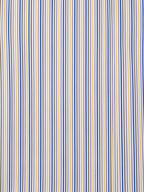 Men's Multicolor Fine Striped Regular Fit Formal Shirt | Full & Half Sleeve