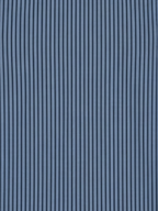 Men's Steel Blue & Navy Vertical Striped Regular Fit Formal Shirt | Full & Half Sleeve