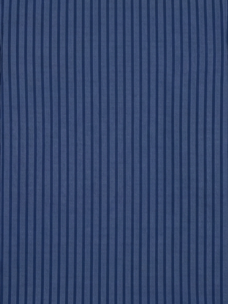 Men's Blue Vertical Stripe Formal Shirt Regular Fit | Full & Half Sleeve