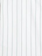 Men's White & Mint Green Striped Regular Fit Formal Shirt | Full & Half Sleeve