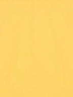 Men’s Golden Yellow Solid Regular Fit Formal Casual Shirt, Full & Half Sleeve