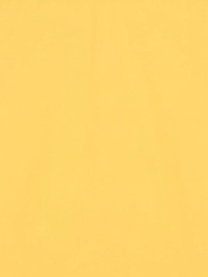 Men’s Golden Yellow Solid Regular Fit Formal Casual Shirt, Full & Half Sleeve